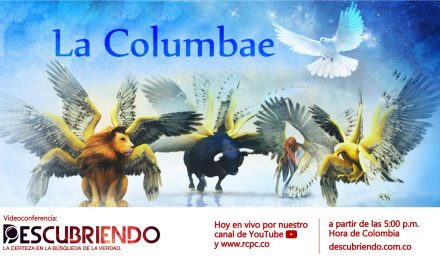 Video Conferencia – La COLUMBAE