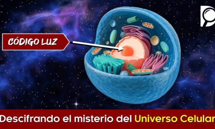 Descifrando el MISTERIO del Universo CELULAR