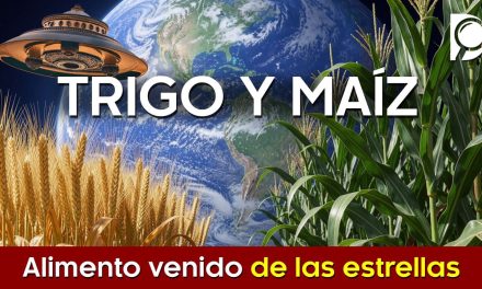 TRIGO y MAÍZ Alimento venido de las estrellas