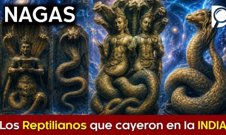 Los NAGAS – Reptilianos que cayeron en la INDIA